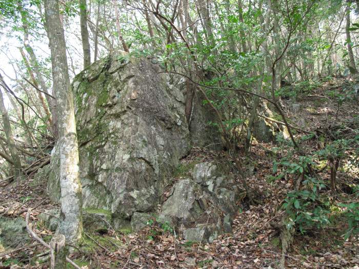 篠山市長安寺/大ヶ谷～町ノ田/やが岳を散策