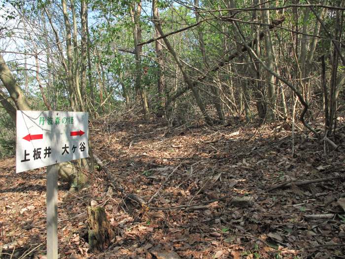 篠山市長安寺/大ヶ谷～町ノ田/やが岳を散策