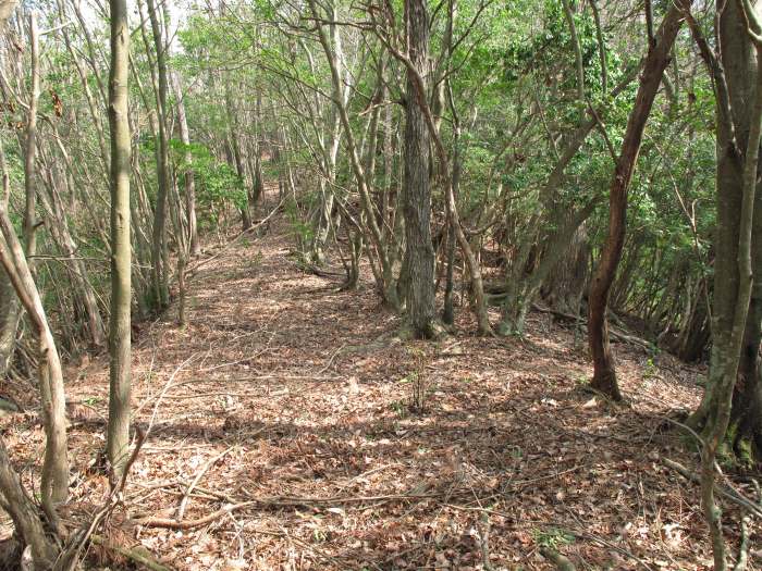 篠山市長安寺/大ヶ谷～町ノ田/やが岳を散策