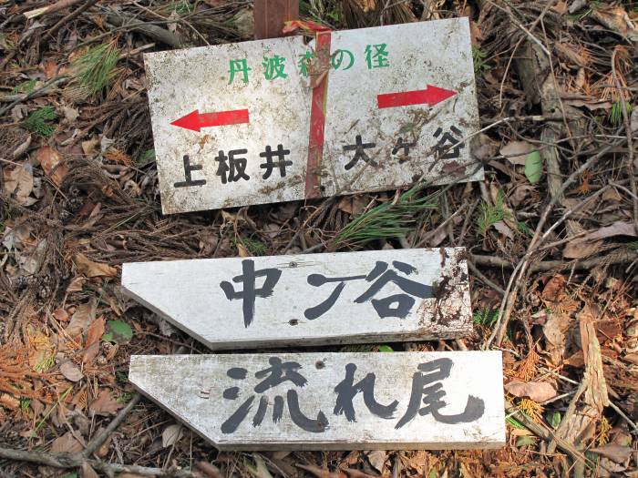 篠山市長安寺/大ヶ谷～町ノ田/やが岳を散策