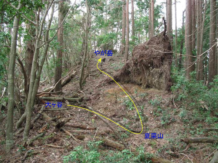 篠山市長安寺/大ヶ谷～町ノ田/やが岳を散策