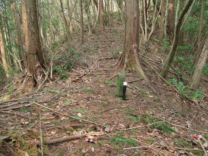 篠山市長安寺/大ヶ谷～町ノ田/やが岳を散策