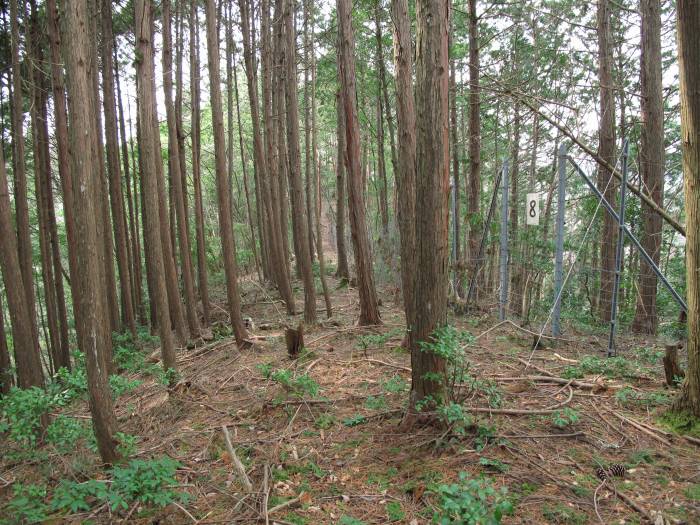 篠山市長安寺/大ヶ谷～町ノ田/やが岳を散策