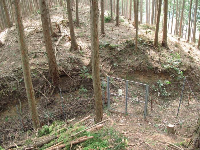 篠山市長安寺/大ヶ谷～町ノ田/やが岳を散策