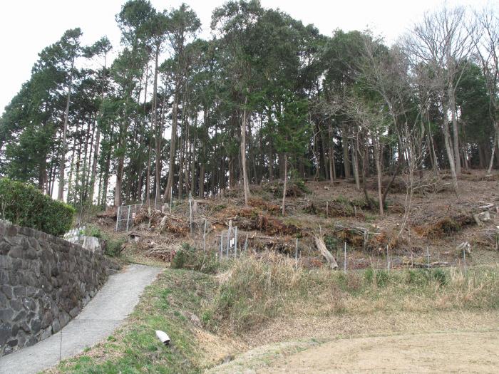 篠山市長安寺/大ヶ谷～町ノ田/やが岳を散策