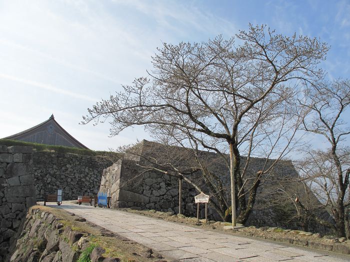 篠山市小多田/天狗山を散策