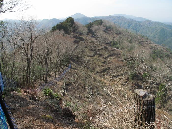 篠山市小多田/天狗山を散策