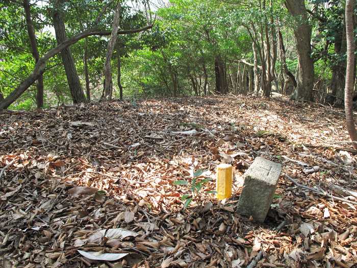 篠山市小多田/天狗山を散策