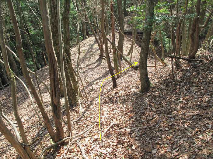 篠山市小多田/天狗山を散策