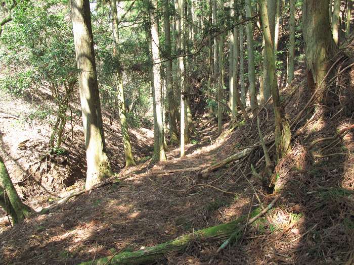 篠山市小多田/天狗山を散策