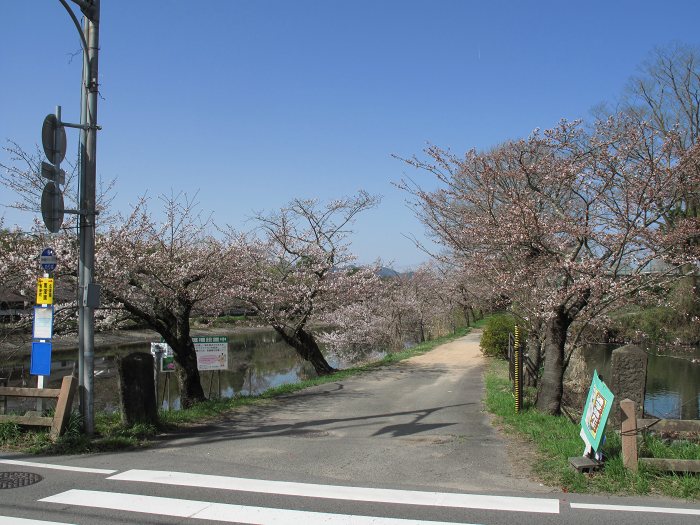 篠山市不来坂/御狩山を散策