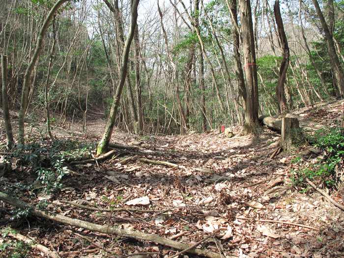 篠山市不来坂/御狩山を散策