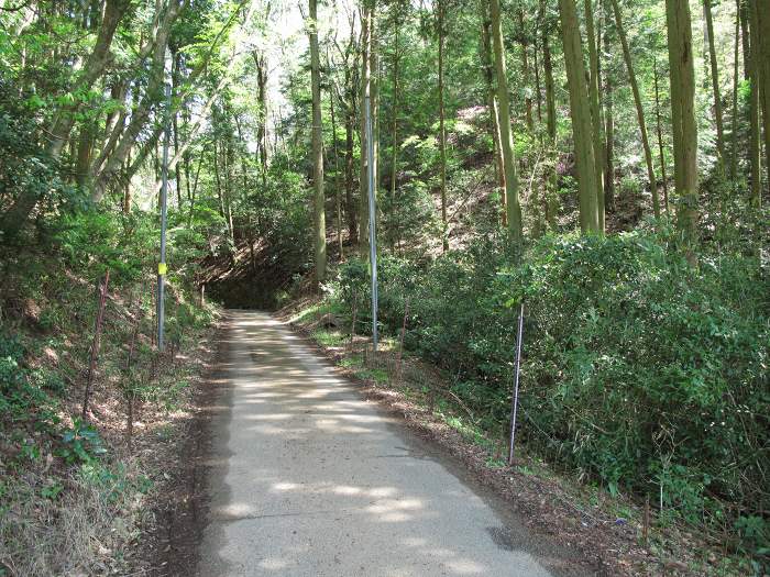 篠山市塩岡/村雲山～福井/宮山・岩倉山を散策