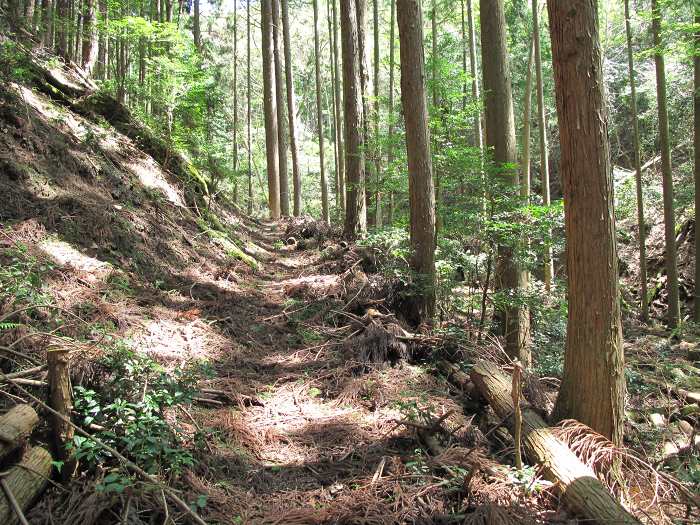 篠山市塩岡/村雲山～福井/宮山・岩倉山を散策