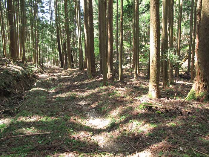 篠山市塩岡/村雲山～福井/宮山・岩倉山を散策