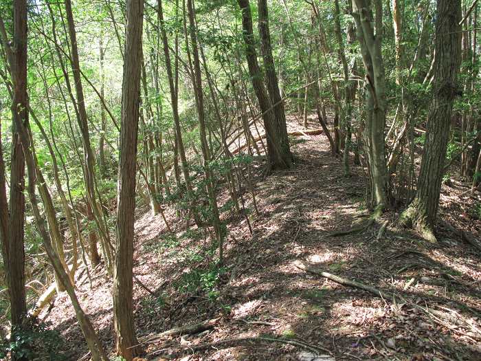 篠山市塩岡/村雲山～福井/宮山・岩倉山を散策