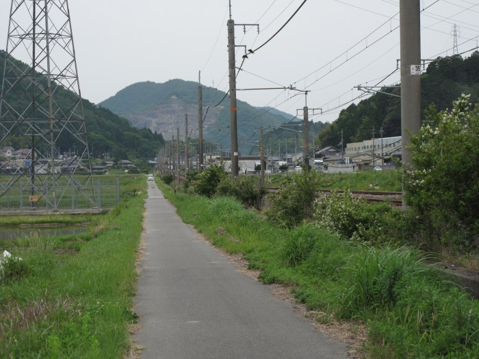 篠山市油井/石山～西ヶ洞山を散策