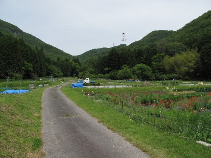 篠山市油井/石山～西ヶ洞山を散策