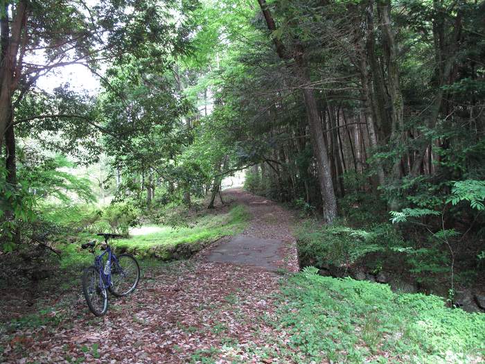 篠山市油井/石山～西ヶ洞山を散策