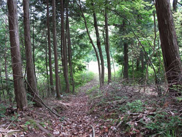 篠山市油井/石山～西ヶ洞山を散策