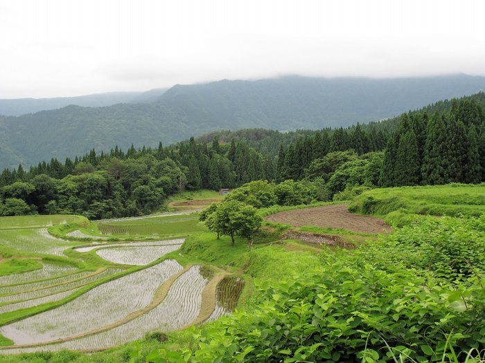 兵庫県養父市福定/氷ノ山へバイク走り