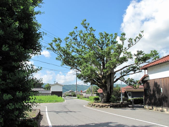 兵庫県三田市/有馬富士へバイク走り