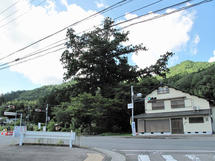 兵庫県三田市/有馬富士へバイク走り