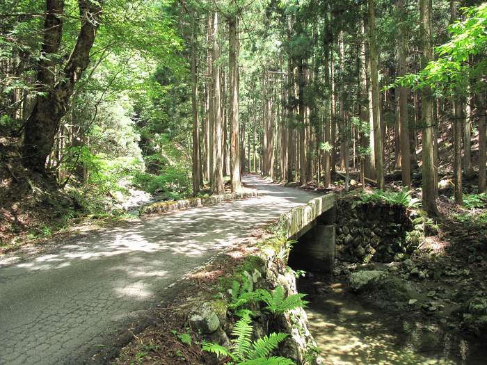 京都府南丹市美山町/佐々里峠へバイク走り