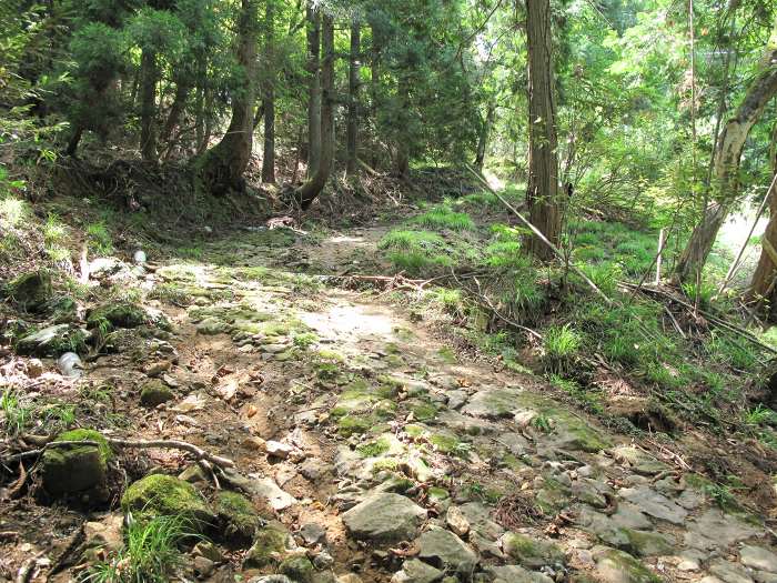 京都府与謝郡与謝野町/与謝峠へバイク走り