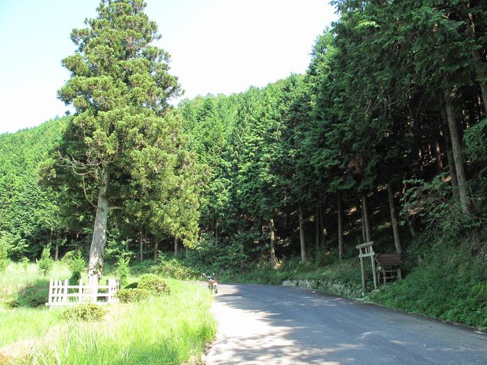 京都府与謝郡与謝野町/与謝峠へバイク走り