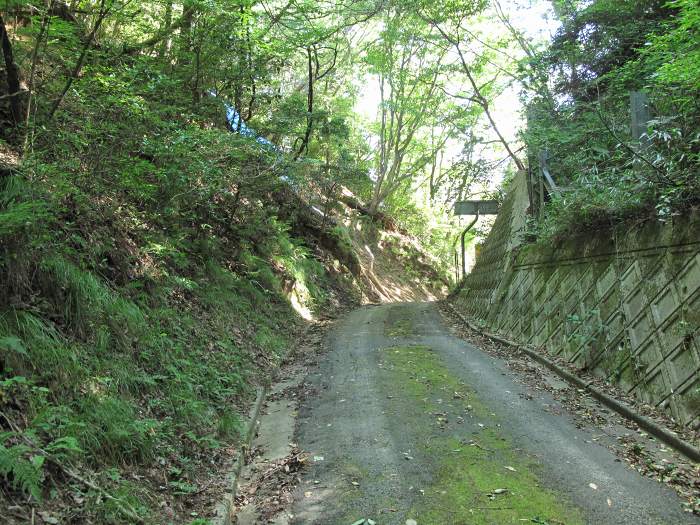 京都府与謝郡与謝野町/与謝峠へバイク走り