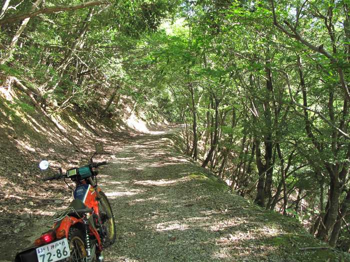 京都府与謝郡与謝野町/与謝峠へバイク走り