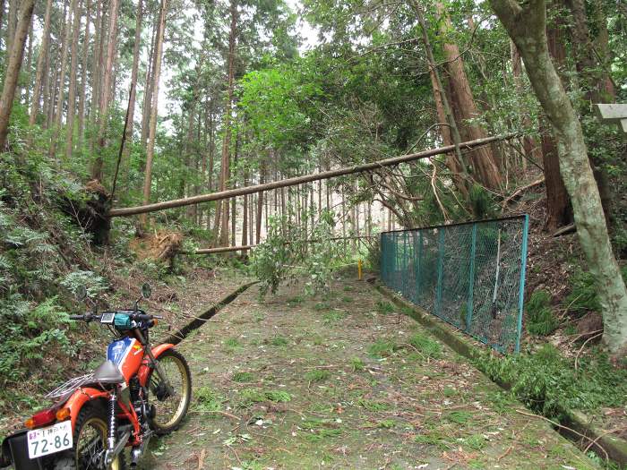 京都府京都市/西国番外霊場元慶寺～第15番今熊野観音寺へバイク走り