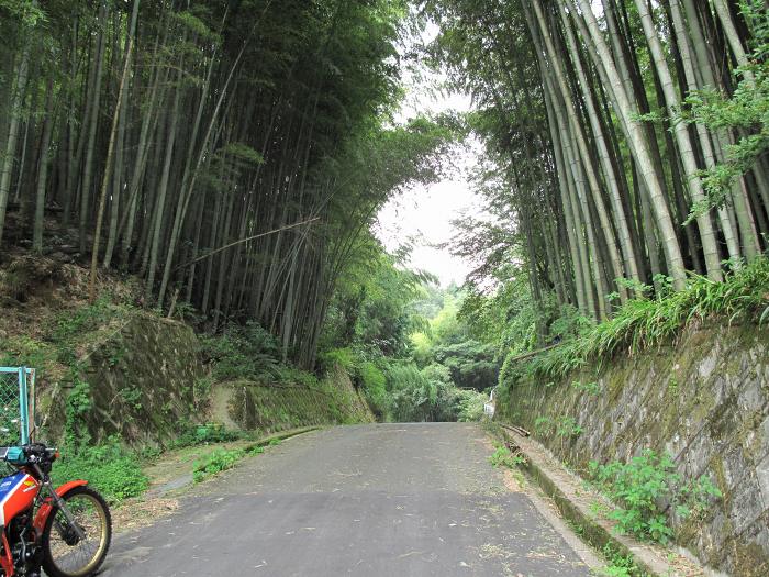 京都府京都市/西国番外霊場元慶寺～第15番今熊野観音寺へバイク走り