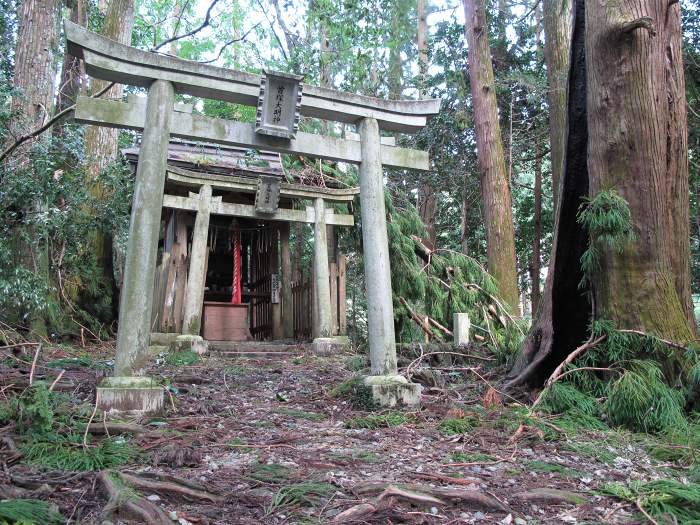 西国霊場第16番清水寺～第19番行願寺へバイク走り