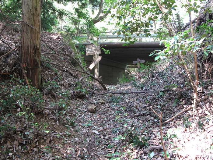 西国霊場第16番清水寺～第19番行願寺へバイク走り