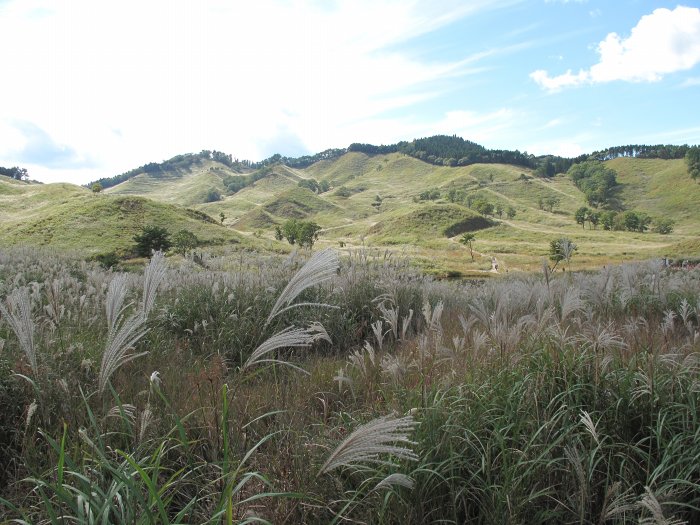 神崎郡神河町/砥峰高原～姫路市夢前町/雪彦山へバイク走り