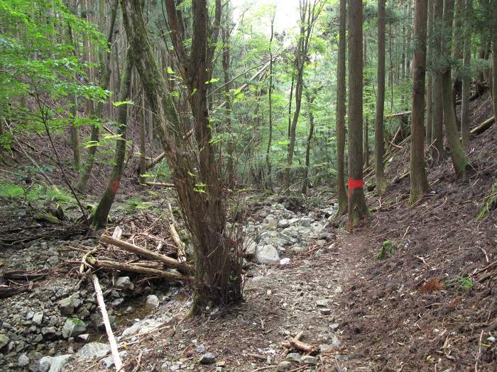 神崎郡神河町/砥峰高原～姫路市夢前町/雪彦山へバイク走り