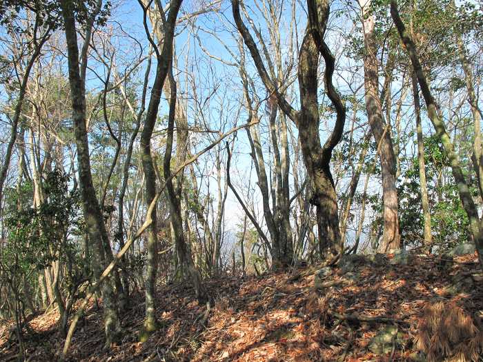 篠山市野々垣/寺山～小多田/天狗山を散策