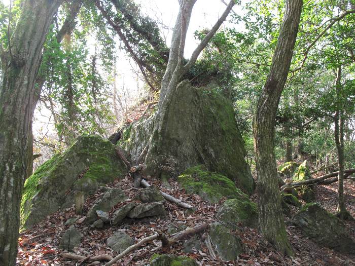 篠山市野々垣/寺山～小多田/天狗山を散策