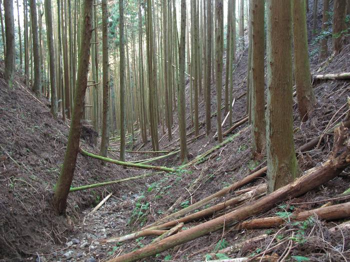 篠山市野々垣/寺山～小多田/天狗山を散策