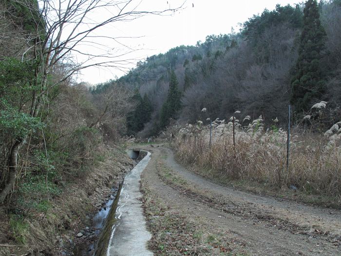 篠山市野々垣/寺山～小多田/天狗山を散策