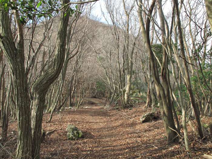 篠山市火打岩/御嶽～福知山市三和町菟原中/細野峠を散策