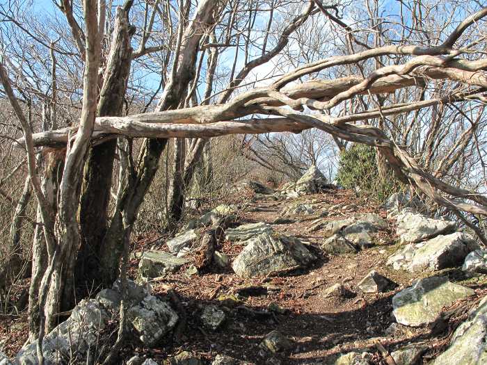 篠山市火打岩/御嶽～福知山市三和町菟原中/細野峠を散策