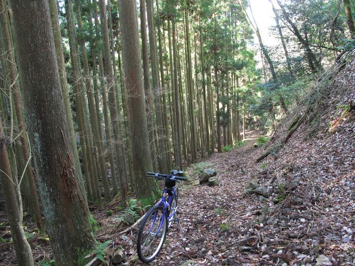 篠山市火打岩/御嶽～福知山市三和町菟原中/細野峠を散策