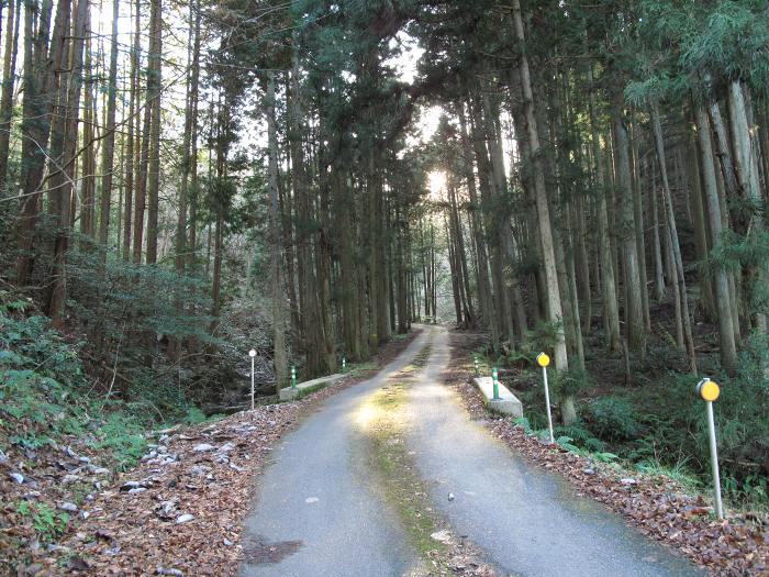 篠山市火打岩/御嶽～福知山市三和町菟原中/細野峠を散策