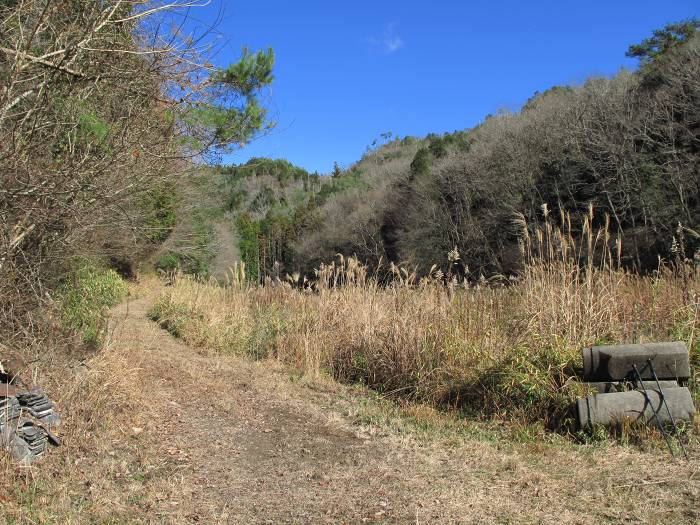 篠山市殿町/高城山を散策