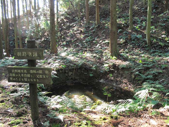 篠山市殿町/高城山を散策