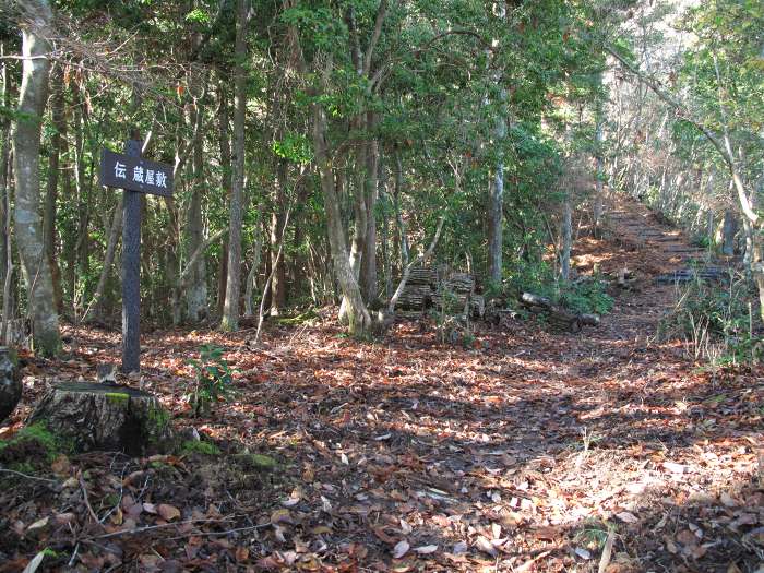 篠山市殿町/高城山を散策