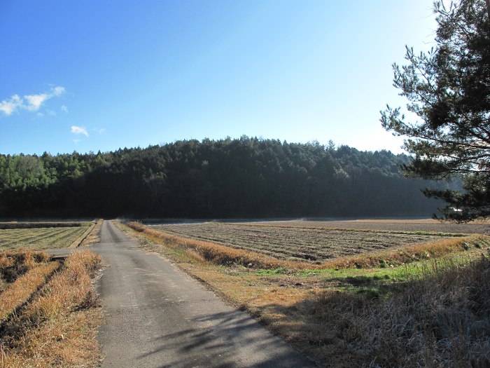 篠山市新荘/前山･馬地山～市野々/モロケ谷の頭～宮代/是次を散策